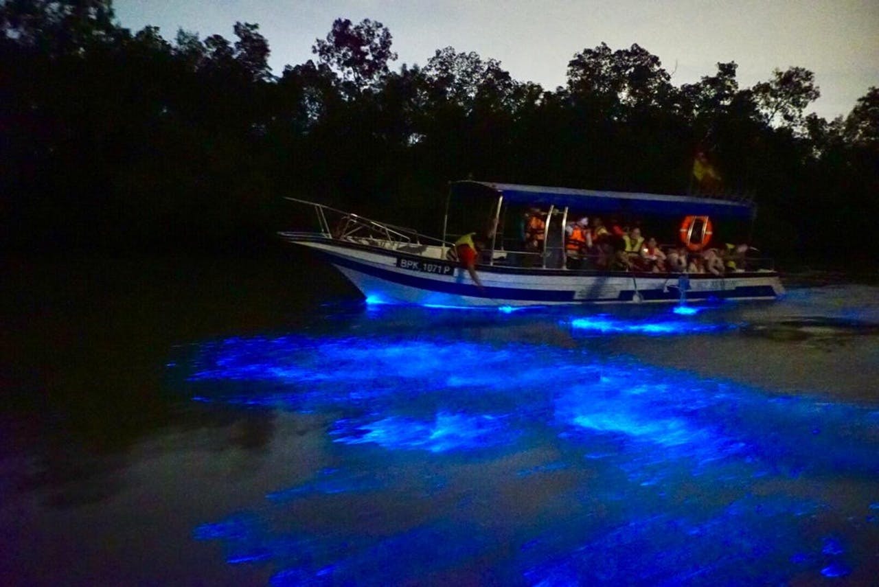 Kuala Selangor Fireflies and Blue Tears Tour with Dinner Category