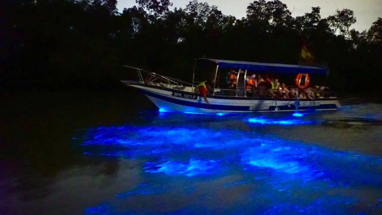 Kuala Selangor Fireflies and Blue Tears Tour with Dinner Category