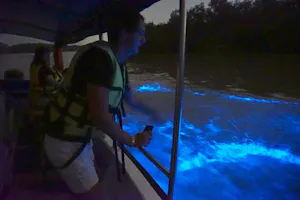 Kuala Selangor Fireflies and Blue Tears Tour with Dinner