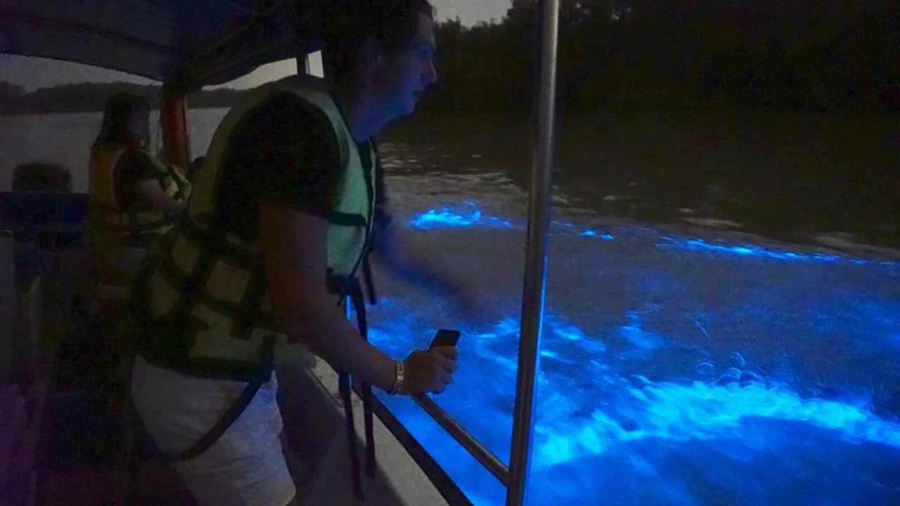 Kuala Selangor Fireflies and Blue Tears Tour with Dinner Review