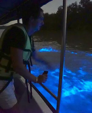 Kuala Selangor Fireflies and Blue Tears Tour with Dinner