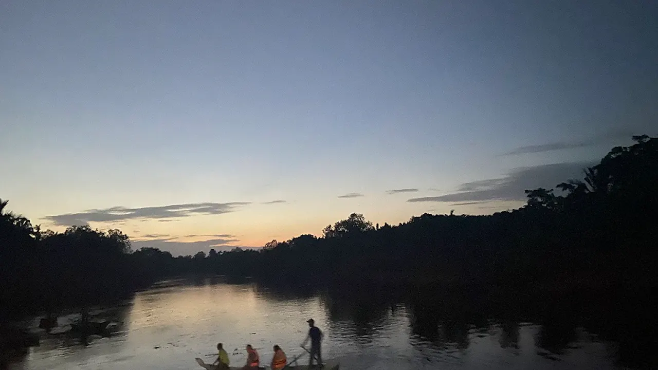 Kuala Selangor Fireflies Night Tour With Sea Food Dinner & Boat Trip Price