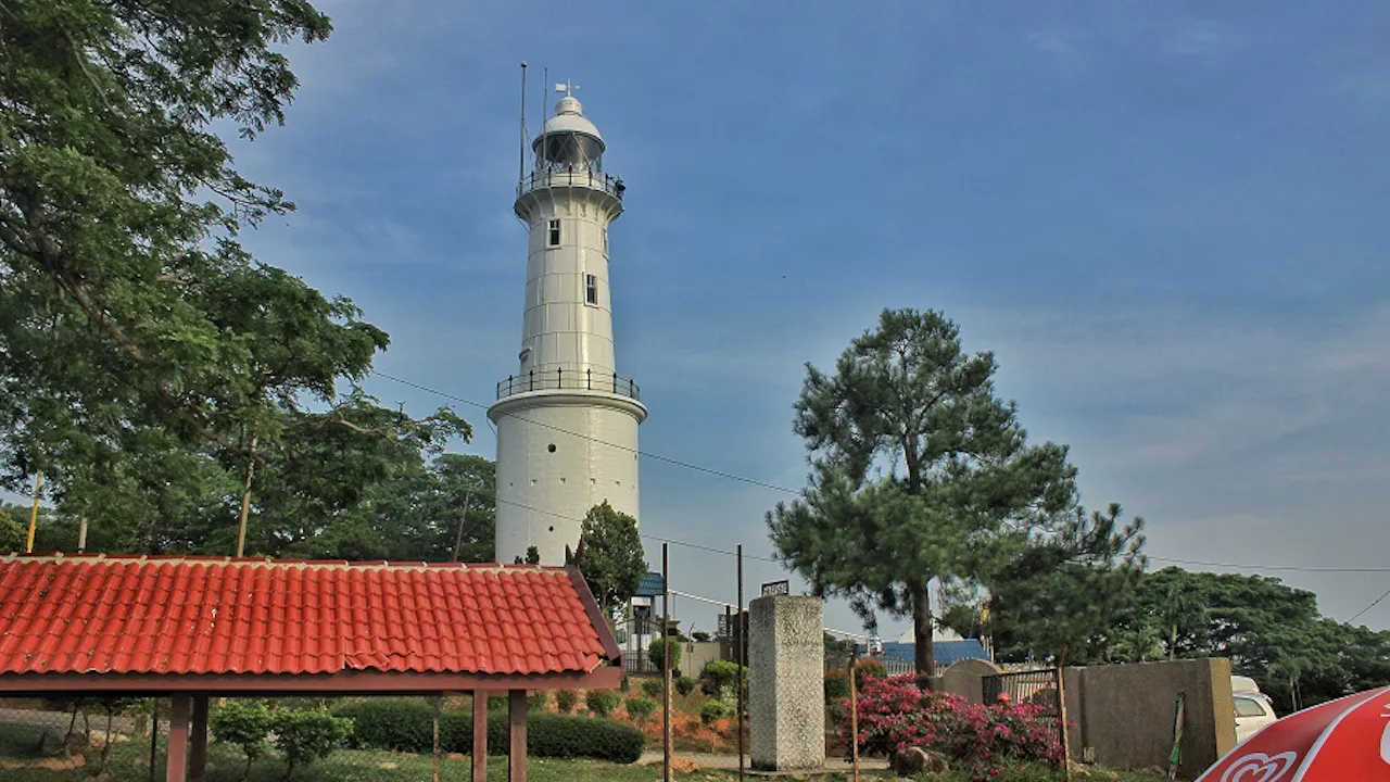 Kuala Selangor Fireflies Night Tour With Sea Food Dinner & Boat Trip