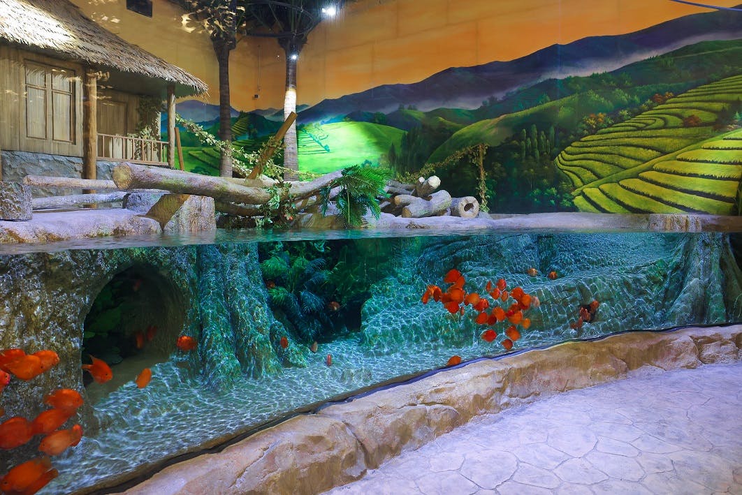 Lotte World Aquarium Hanoi Thrillark