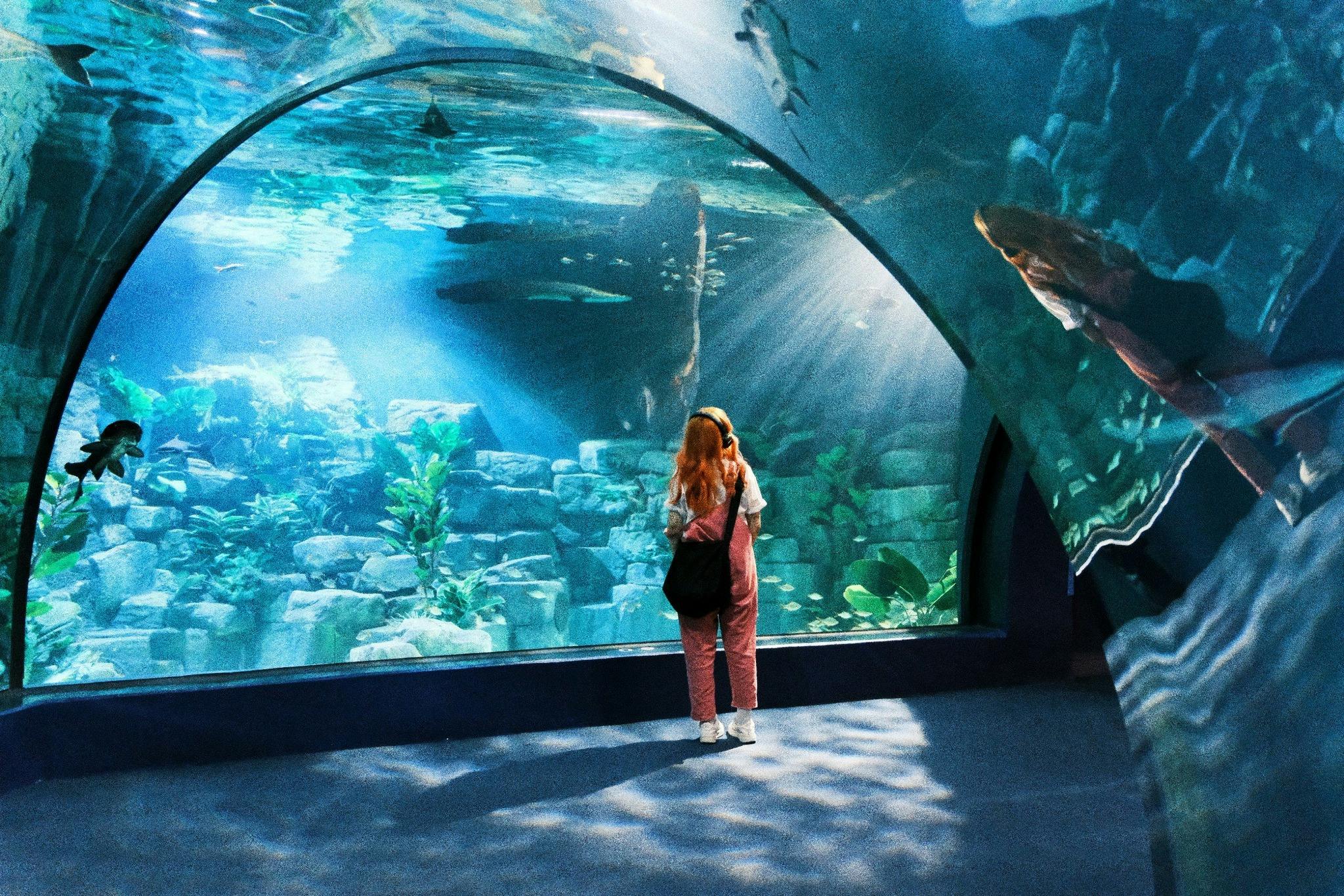 Lotte World Aquarium Hanoi Location