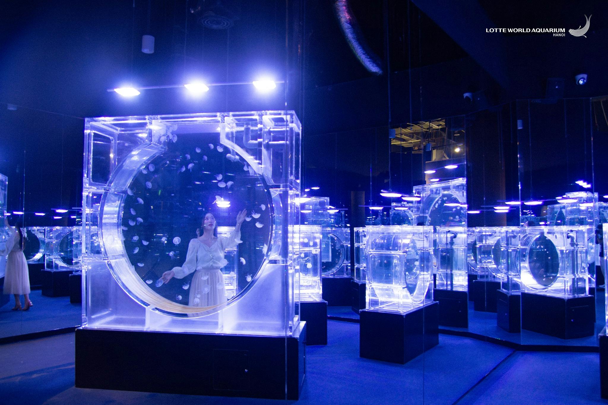 Lotte World Aquarium Hanoi Review