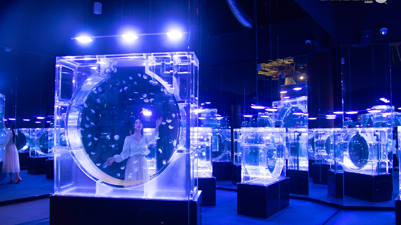 Lotte World Aquarium Hanoi Review