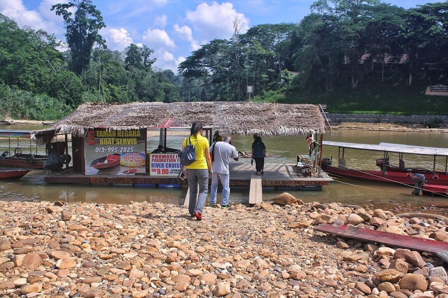Taman Negara National Park Join-In Day Tour