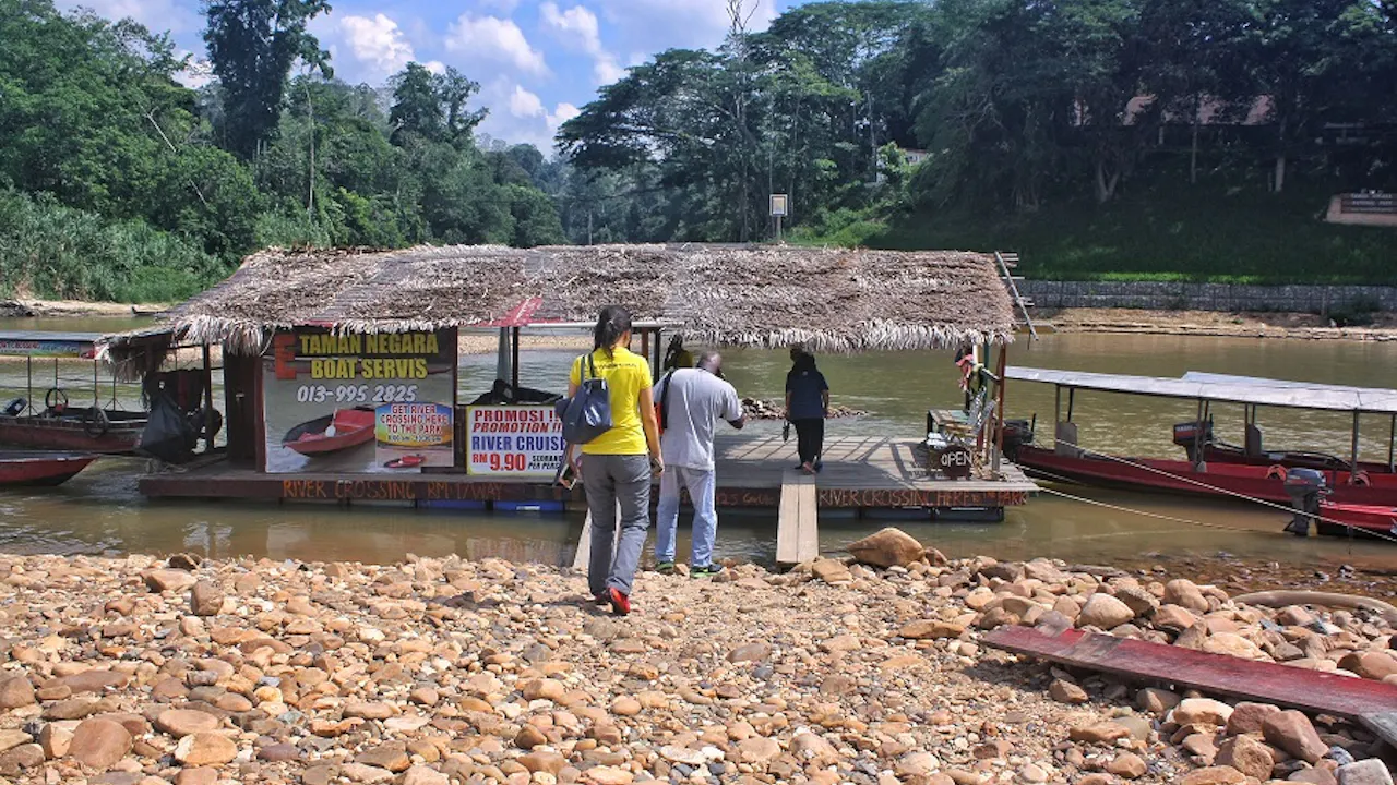 Taman Negara National Park Join-In Day Tour