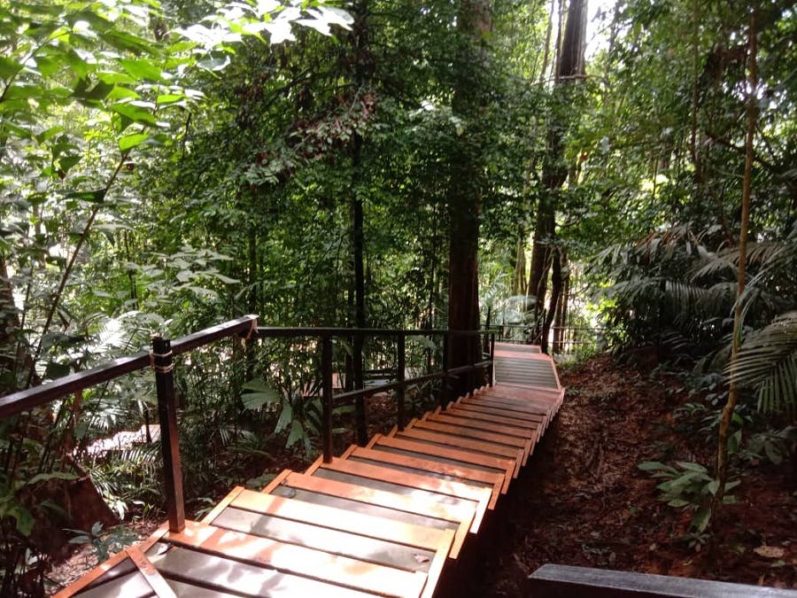 Taman Negara National Park Join-In Day Tour