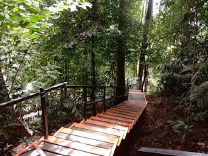 Taman Negara National Park Join-In Day Tour