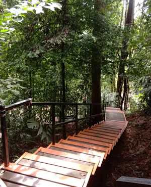 Taman Negara National Park Join-In Day Tour