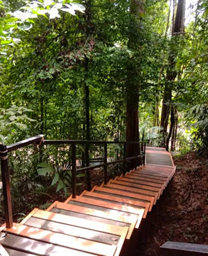 Taman Negara National Park Join-In Day Tour