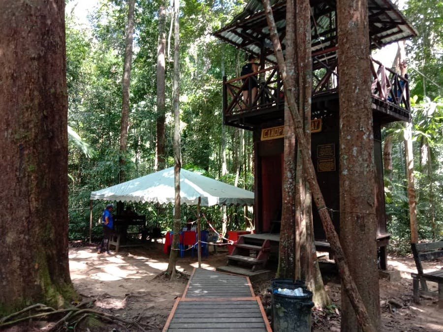 Taman Negara National Park Join-In Day Tour Price