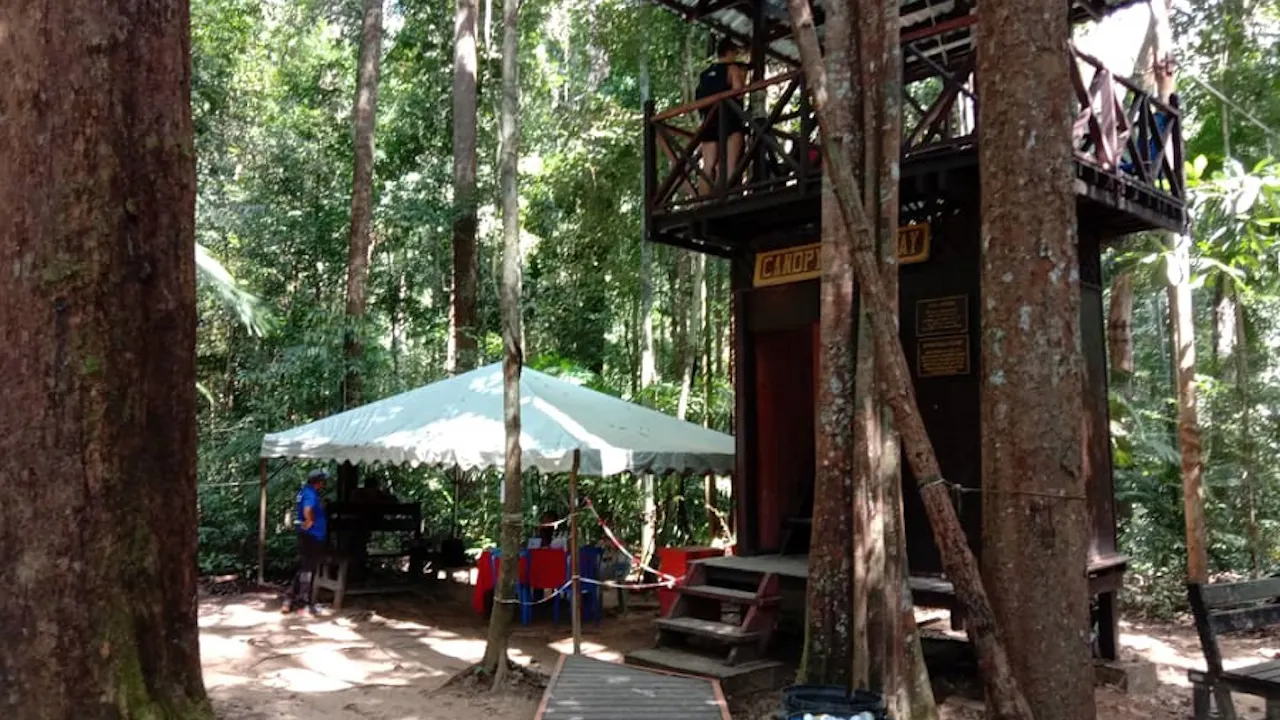 Taman Negara National Park Join-In Day Tour Price