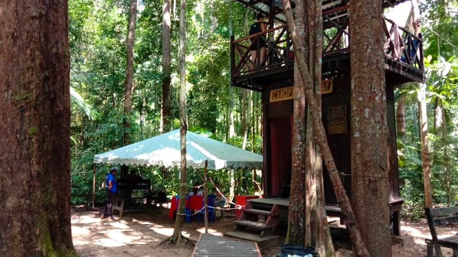 Taman Negara National Park Join-In Day Tour Price