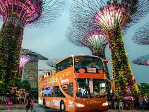 FunVee Singapore Night Tour