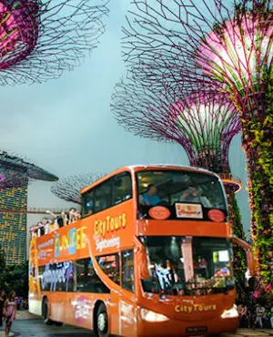 FunVee Singapore Night Tour