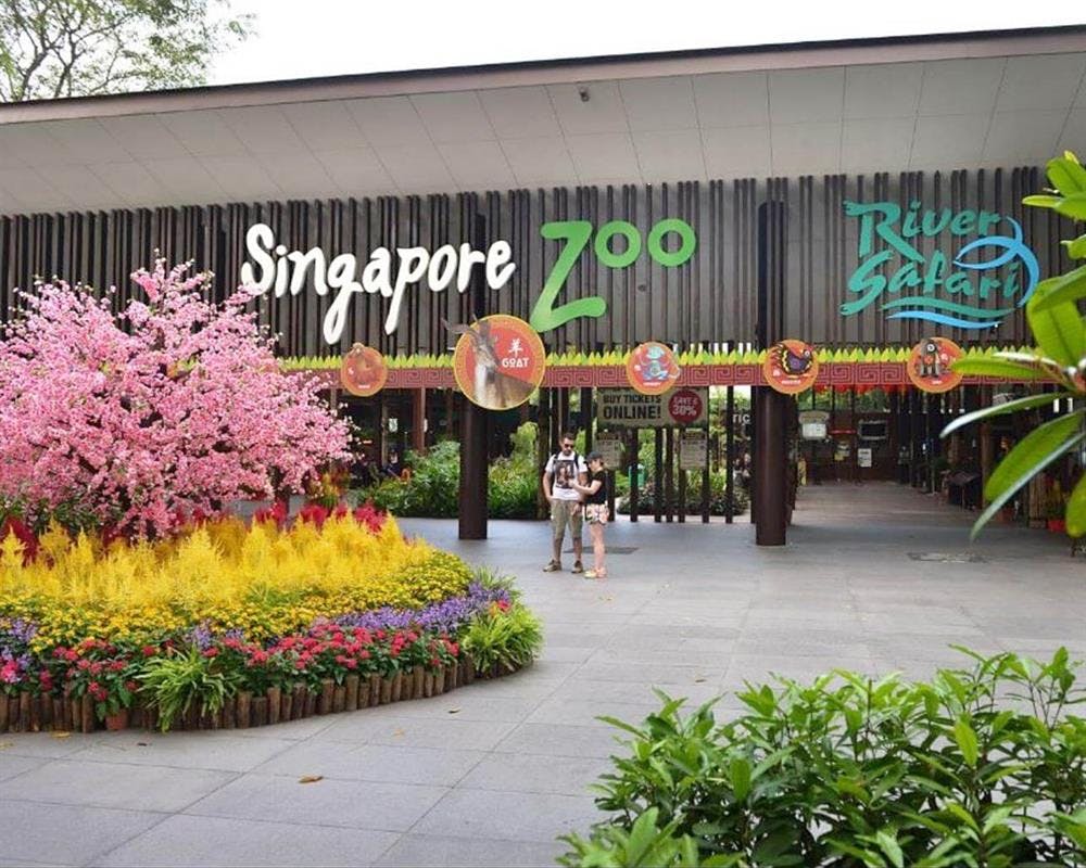 2-in-1 Park Hopper Plus Singapore by Mandai Wildlife Reserves Category