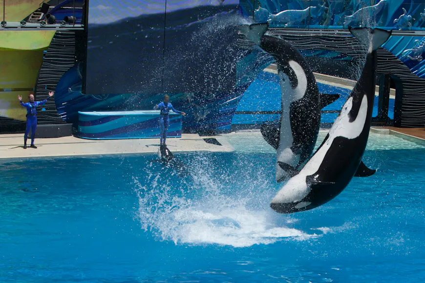 SeaWorld Abu Dhabi
