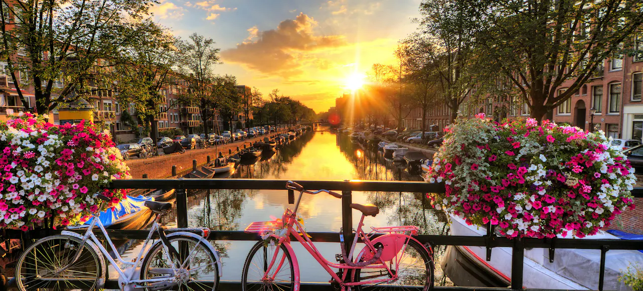 Things to Do in Amsterdam, Book Tours Tickets in Amsterdam