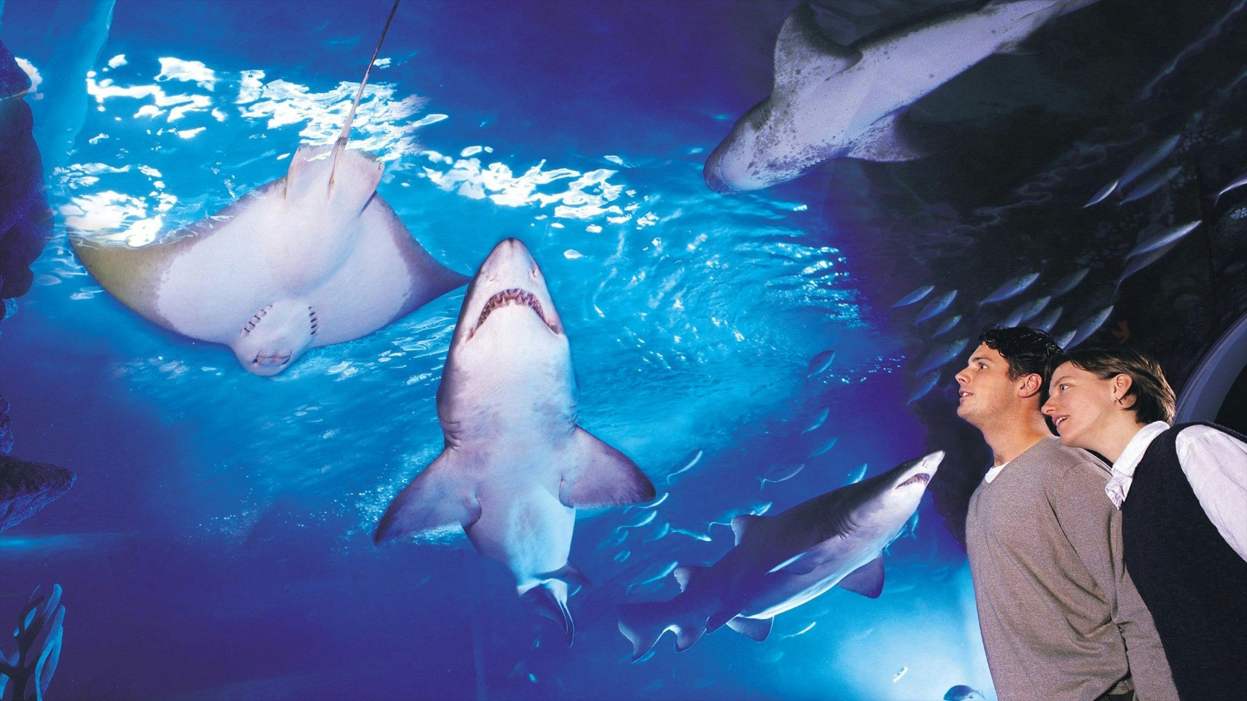 SEA LIFE Melbourne Aquarium