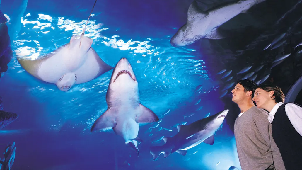 SEA LIFE Melbourne Aquarium