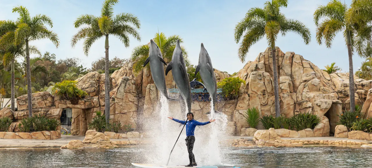 53 Things to Do at Sea World Gold Coast