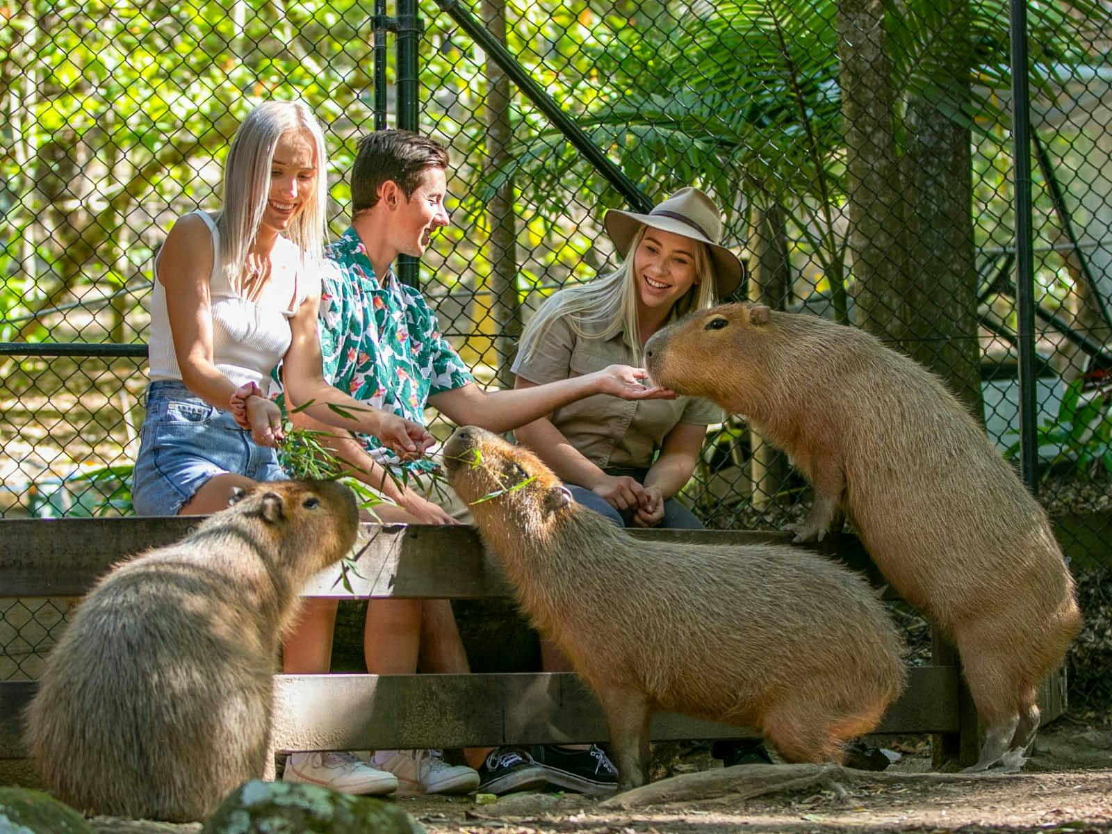 Currumbin Wildlife Sanctuary