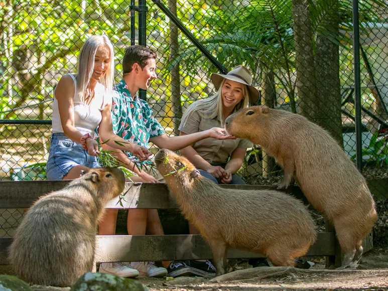 Currumbin Wildlife Sanctuary